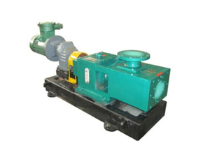 不锈钢双螺杆泵